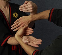 wing tsun kung fu - Chi Sau